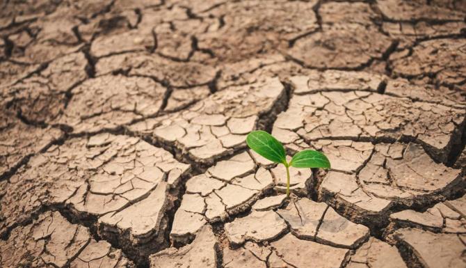 Masterclass Klimaatadaptatie