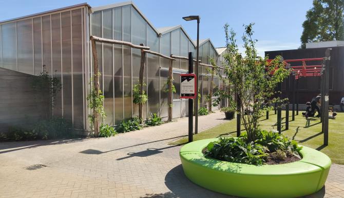 Groen schoolplein vmbo Utrecht
