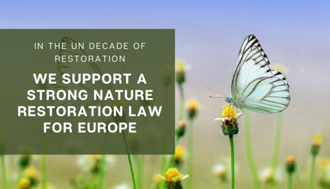 Natuurherstelwet voor Europese steden