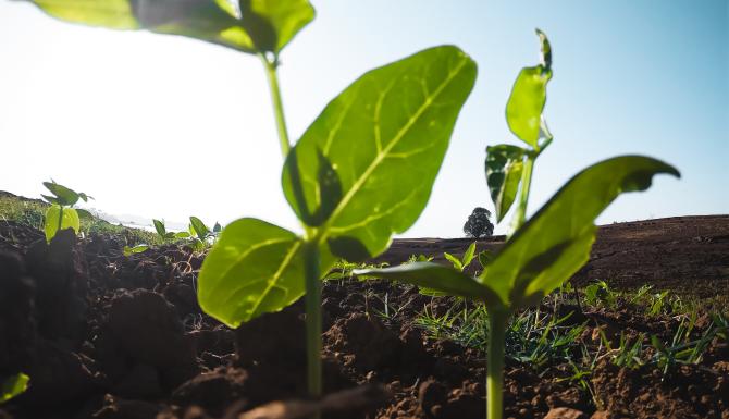 Kennisbijeenkomst Groenstudieclub