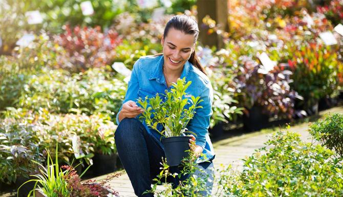 Training plantenkennis basis