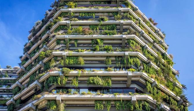 Urban Green Development