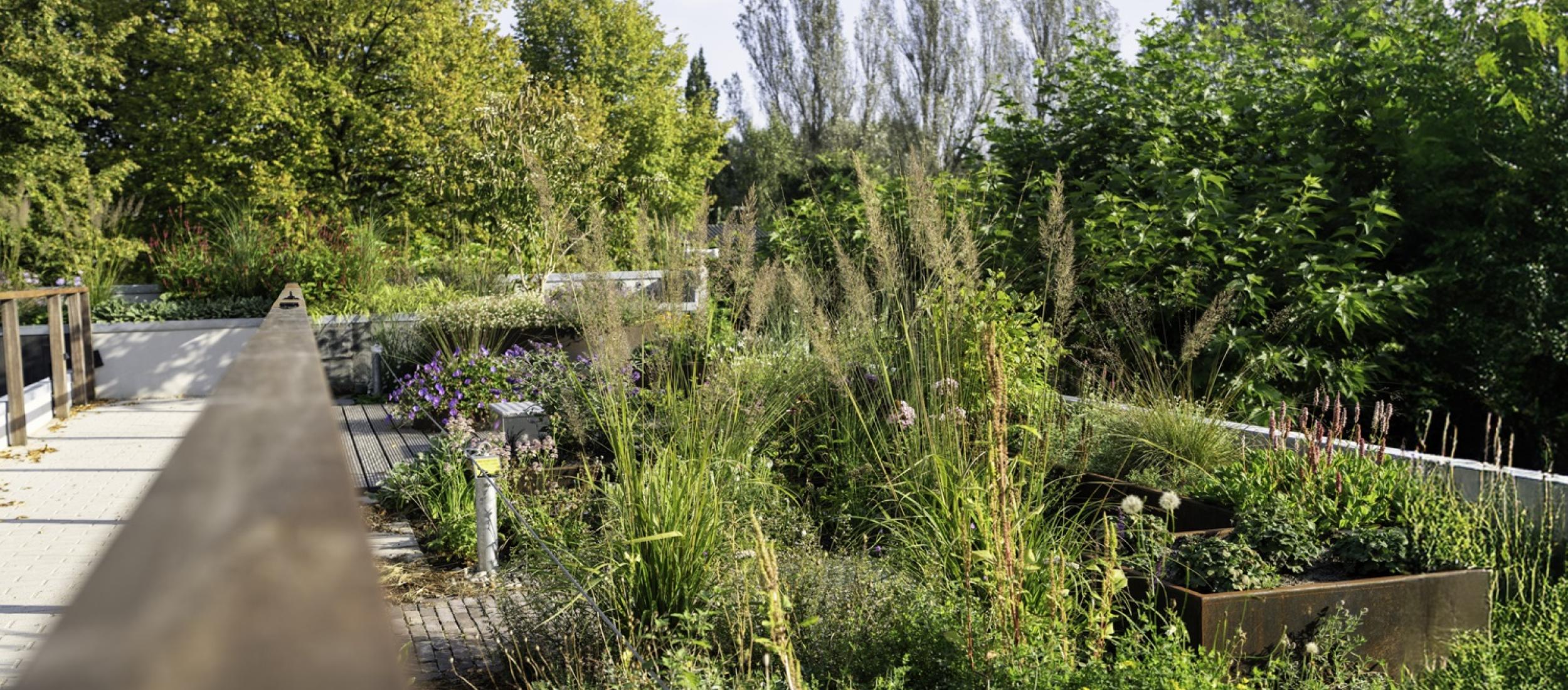 Groen onderwijsdak Yuverta