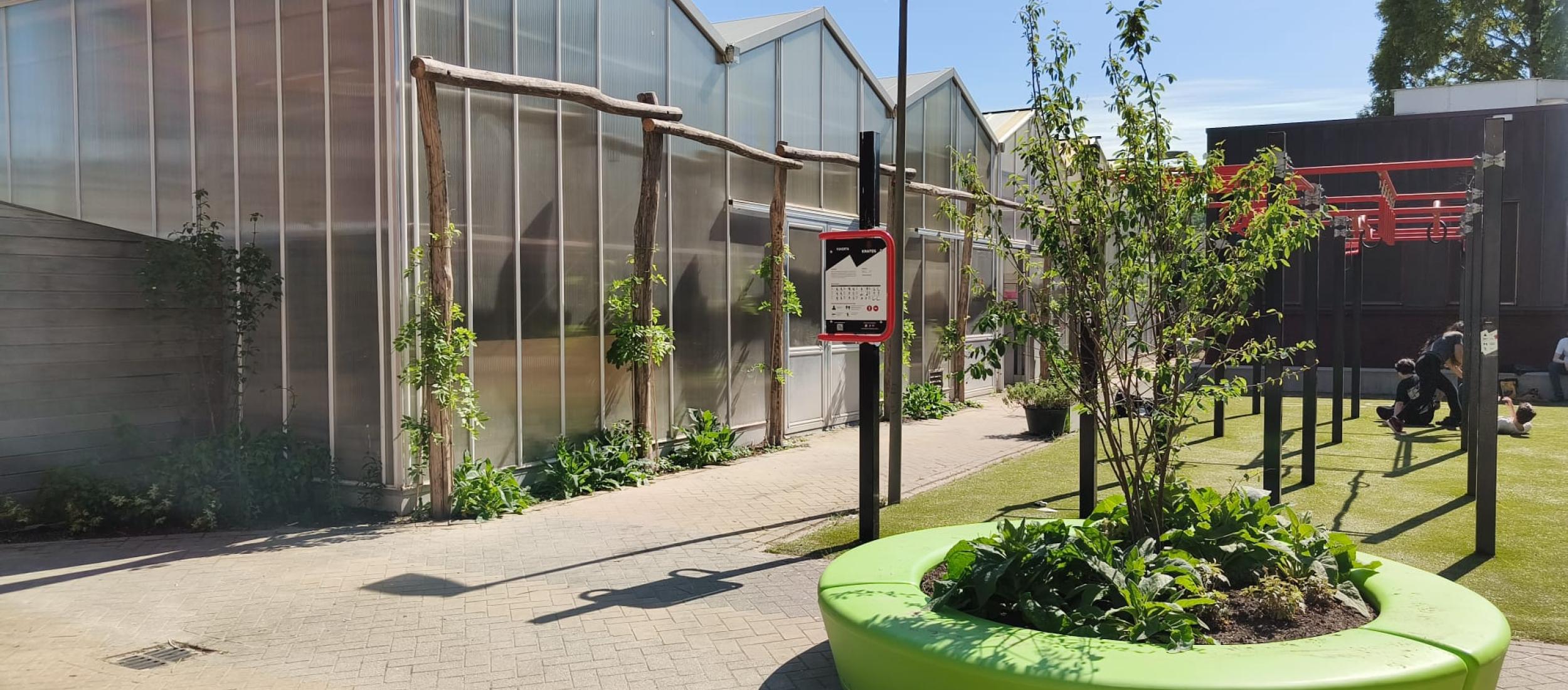 Groen schoolplein vmbo Utrecht