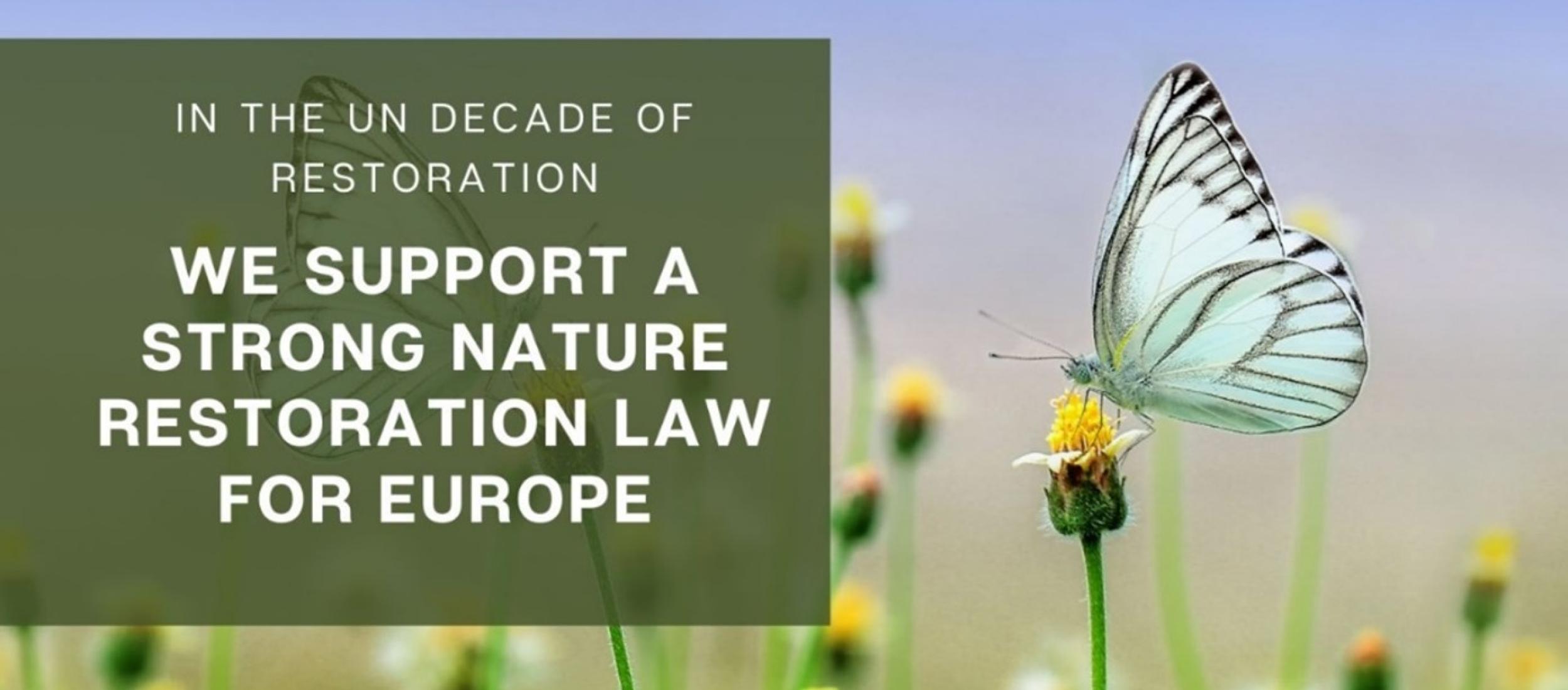 Natuurherstelwet voor Europese steden