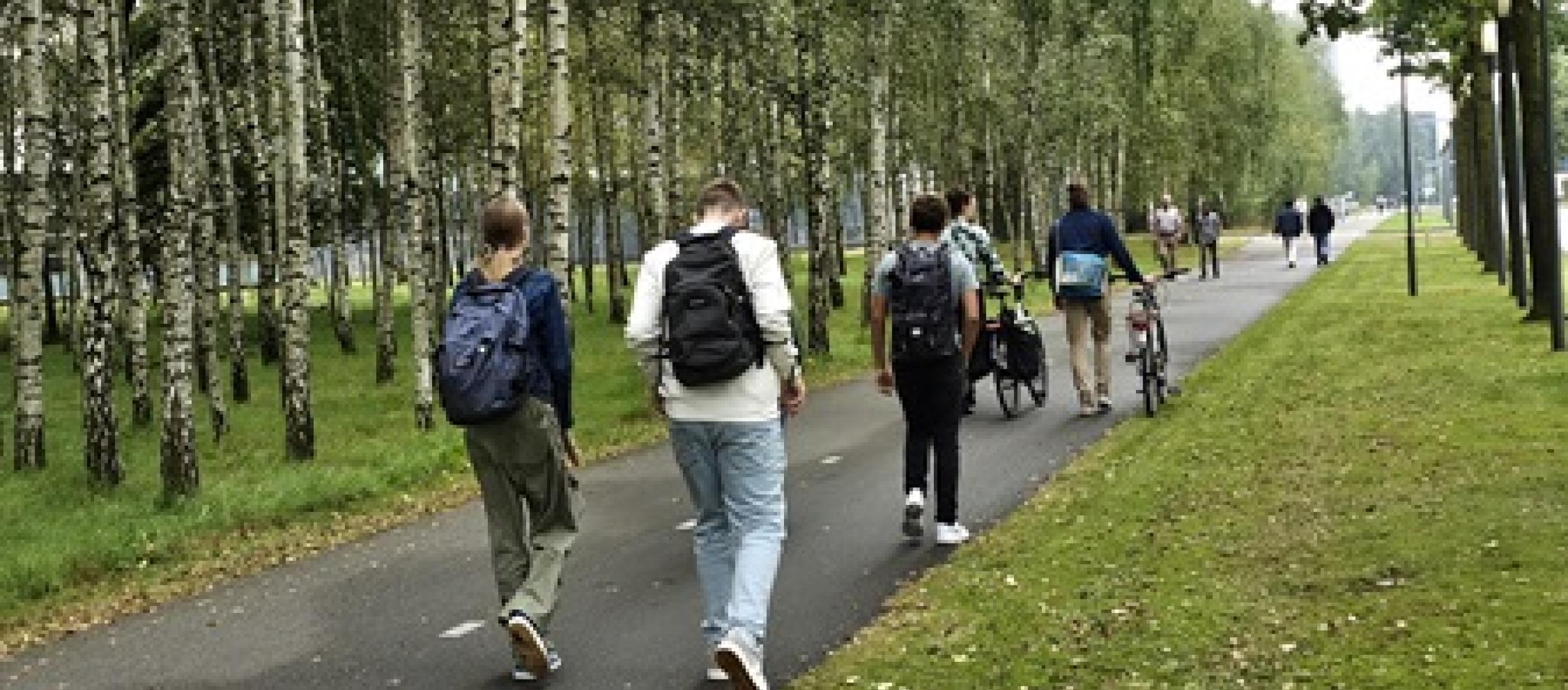 De Groene Werkwandeling