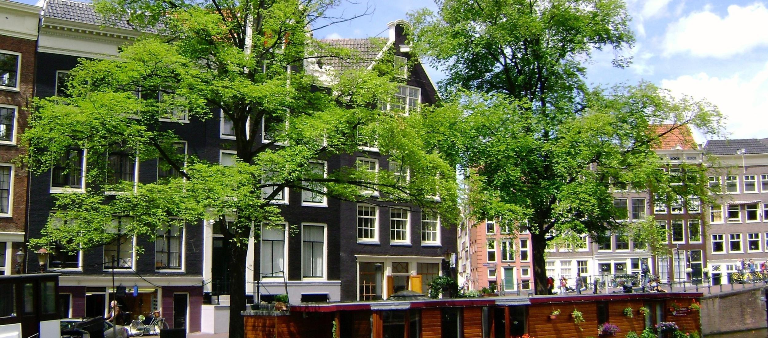 Bomen en klimaat