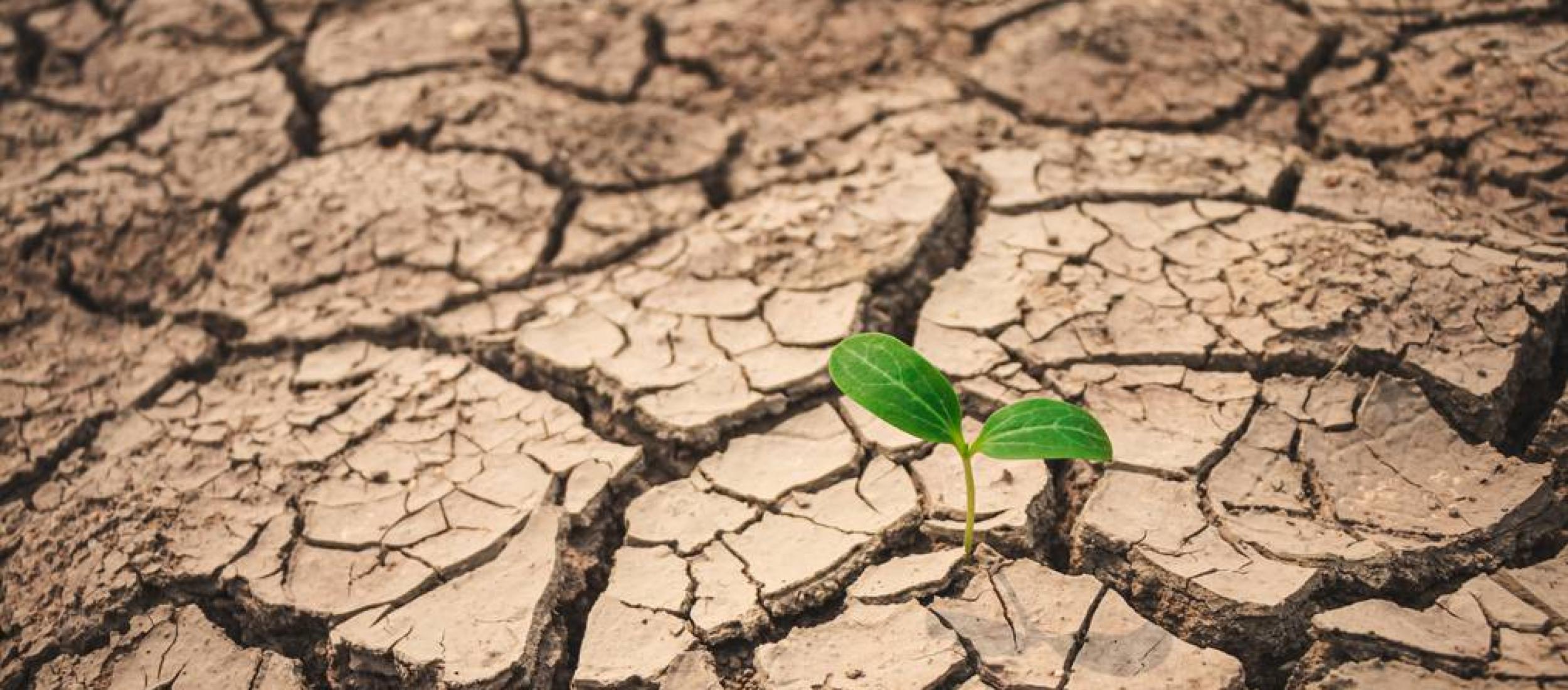 UGD module klimaatadaptatie