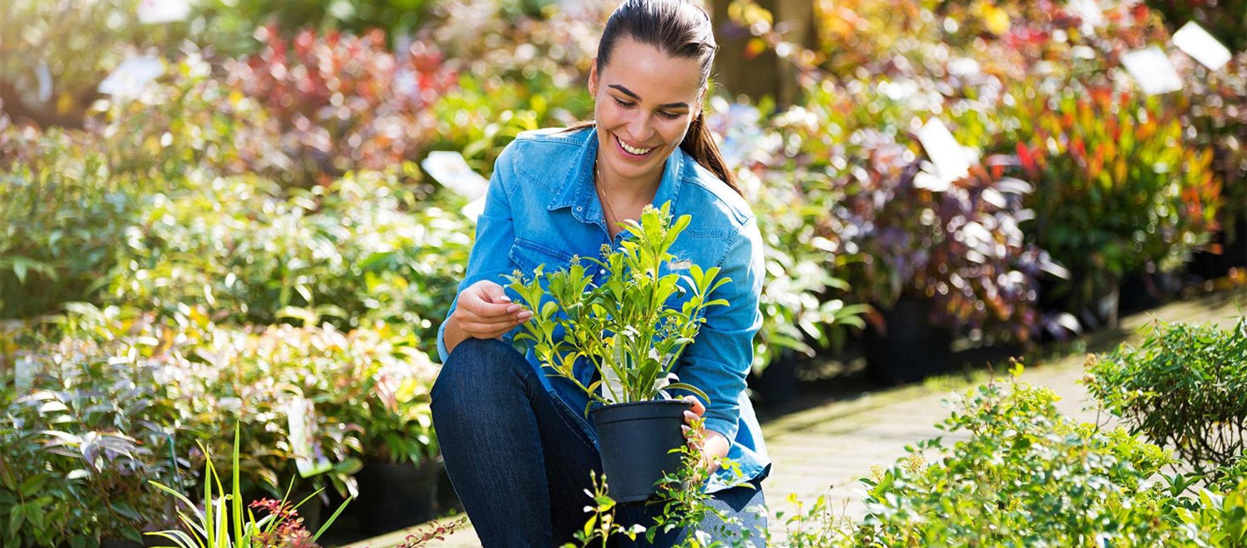 Training plantenkennis basis