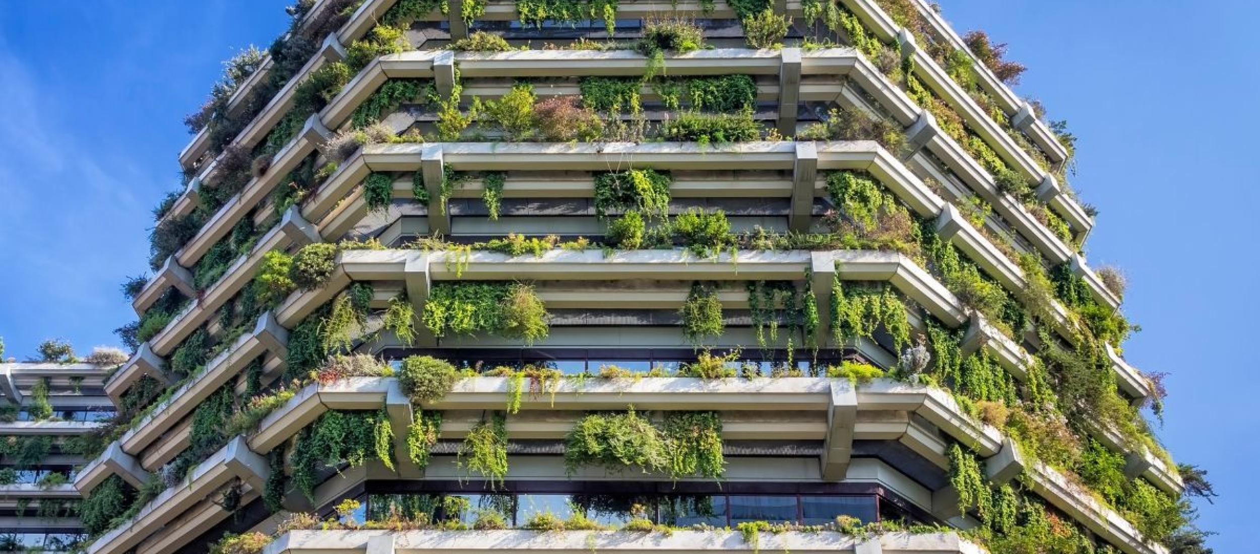 Urban Green Development