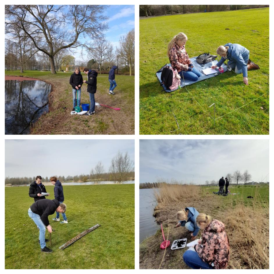 Monitoring vegetatie IJsselmonde