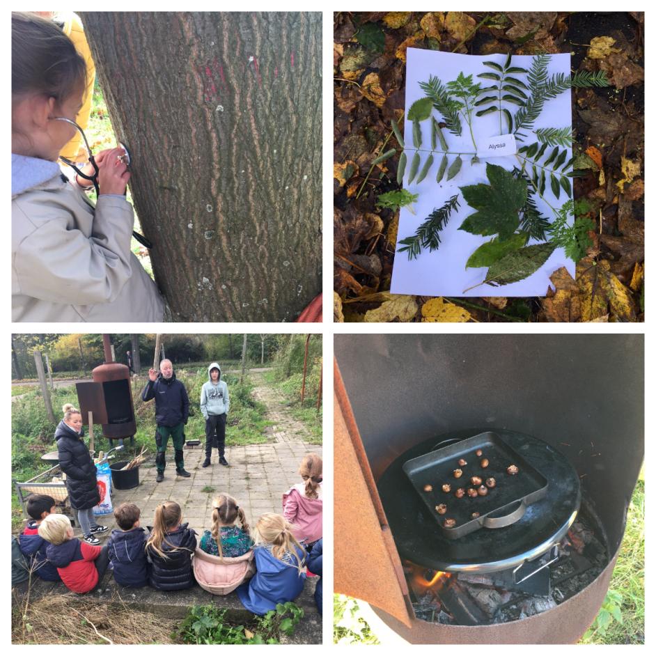 Natuureducatie Yuvertapark Bomenroute