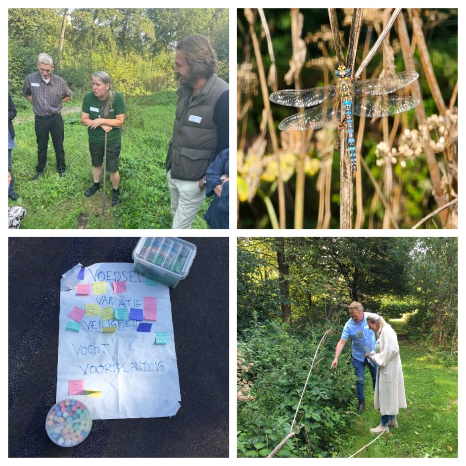 Werksessie Biodiversiteit