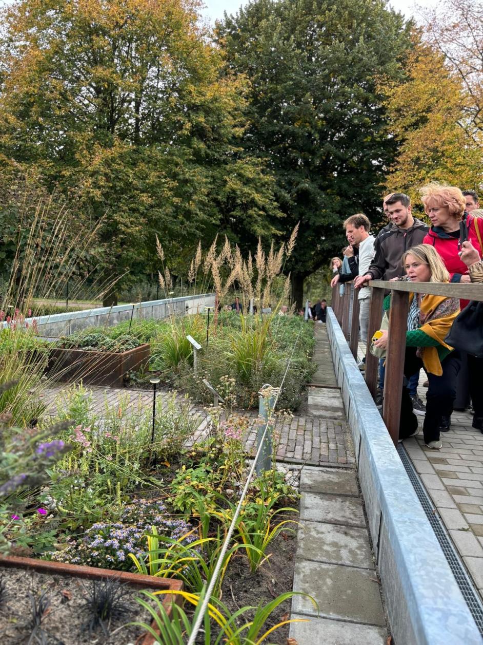 Opening groen onderwijsdak