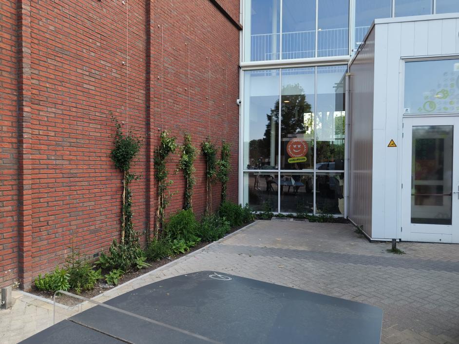 Groen schoolplein Yuverta vmbo Utrecht