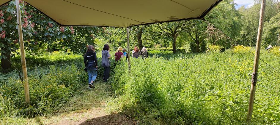 International Urban Greening Week