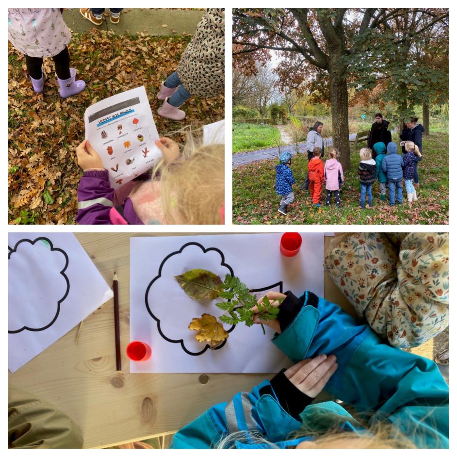 Natuur en Milieu Educatie