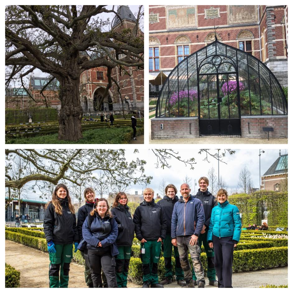 Groen in het Rijksmuseum