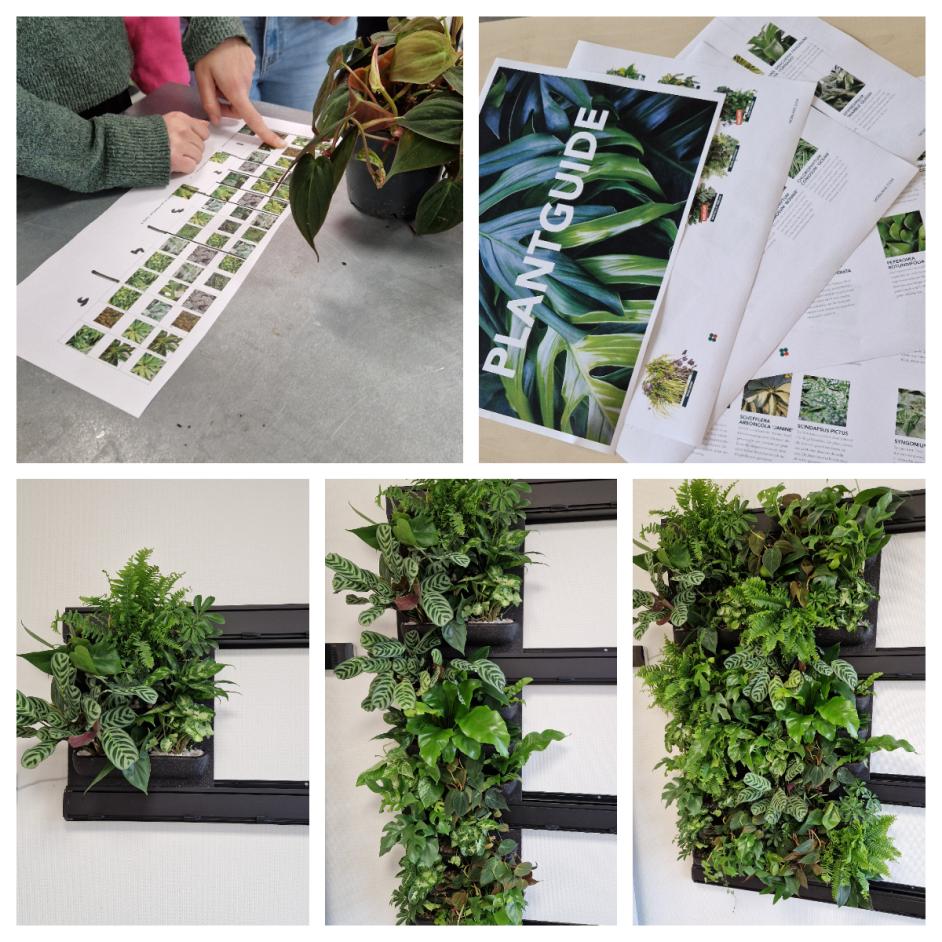 Project groene klaslokalen
