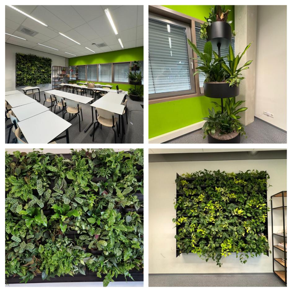 Project vergroenen klaslokalen Yuverta