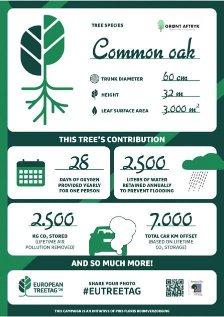 TreeTag campagne