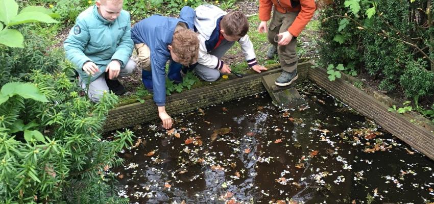 Natuurmiddag Yuvertapark