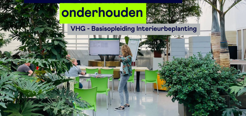 VHG - Basisopleiding Interieurbeplanting