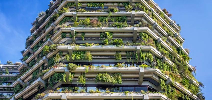 Opleiding Urban Green Development