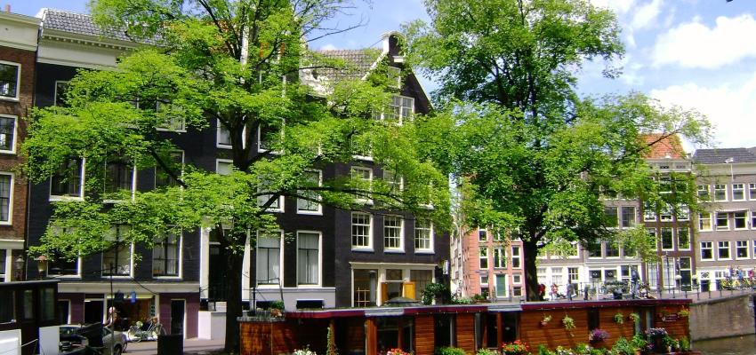 Bomen en klimaat