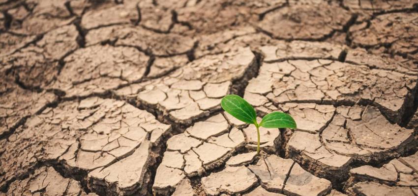 UGD module klimaatadaptatie