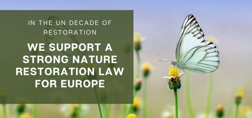 Natuurherstelwet voor Europese steden